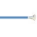Cables de xarxa de gran volum –  – C5E-CM-SLD-BL