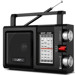 Prenosni radio																								 –  – SRP-450