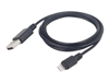 Cellular Phone Cables –  – CC-USB2-AMLM-2M