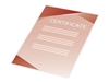Autres consommables et kits d'entretien pour imprimantes –  – 3747527