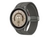 Smart Watches –  – SM-R925FZTAXEF