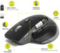 Mice –  – port-910203
