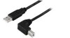 USB-Kabler –  – USBAB2ANGLE10