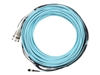 Fiber Cable –  – MC6709309-010