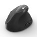 Mouse																																																																																																																																																																																																																																																																																																																																																																																																																																																																																																																																																																																																																																																																																																																																																																																																																																																																																																																																																																																																																																					 –  – VEM-17