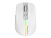 Mice –  – COO-MOU-W01-W