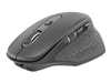 Souris –  – NMY-1610