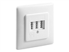 Network Cabling Accessories –  – 43544