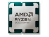 Pemproses AMD –  – 100-100001591MPK