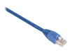 Patch Cables –  – EVNSL81-0005
