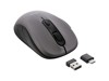 Souris –  – 55363