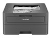 Monochrome Laser Printers –  – HLL2402DYJ1