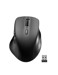Mice –  – SL-630021-RRBK