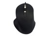 Mice –  – M20CBB