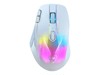 Souris –  – TBM-1101-15