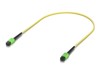 Patch-Kabel –  – UACC-OFC-SA-MPMP-0.5M