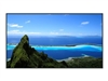 Digital Signage Display –  – TH-75SQ1W