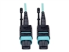 Patch Cables –  – N844-10M-12-P