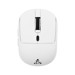 Mice –  – ICSB-WM710WH