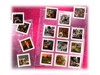 Photo Storage –  – 230025B