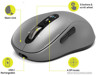 Mice –  – port-910201