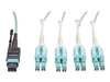 Patch Cables –  – N844-01M-8LC-PT