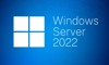 Windows licences un media –  – P71-09389