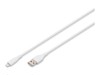 Câbles spéciaux –  – AK-600108-005-W