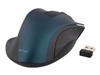 Mouse –  – MS-708