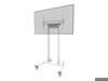 TV- &amp; Monitorständer –  – FL55-875WH1