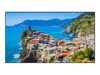 LCD/LED Large Format Displays –  – TH-65EQ2W