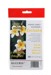 Photo Paper –  – M10550