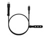 USB-Kabel –  – ACCABL-5CC-WW1