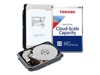Server Hard Drives –  – MG10SCA20TA
