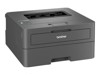 Monochrome Laser Printers –  – HLL2445DWRE1