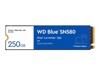 SSD, Solid State Drive –  – WDS250G3B0E-00CHF0