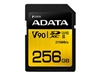 Flash kaardid –  – ASDX256GUII3CL10-C