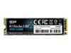 SSD, Solid State Drives –  – SP256GBP34A60M28