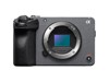 Mirrorless System Digital Cameras –  – ILMEFX30B.CEC