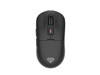 Mice –  – NMG-2193