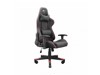 Web kamere																								 –  – RACER-TWO