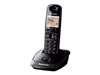 Безжични телефони –  – KX-TG2511PDM