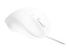 Mice –  – M20CW