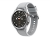 Smart Watches –  – SM-R895FZSADBT