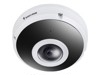 Wired IP Cameras –  – VIO100229700