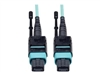 Patch Cables –  – N844-03M-12-P