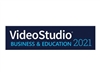 Video Editing																								 –  – LCVS2021UBEMLA1