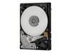Internal Hard Drives –  – 0B30781