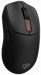 Souris –  – NMG-2113