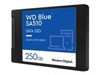 SSD, Solid State Drives –  – WDS250G3B0A